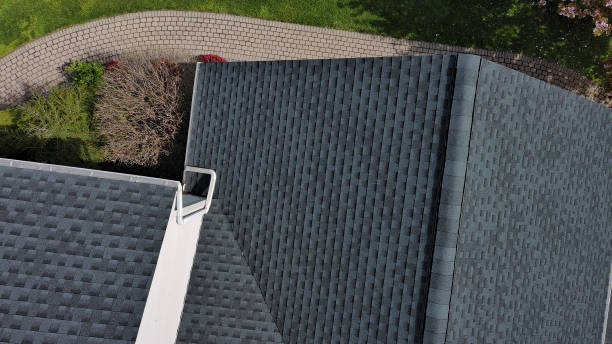 Best Skylight Installation and Repair  in Herscher, IL